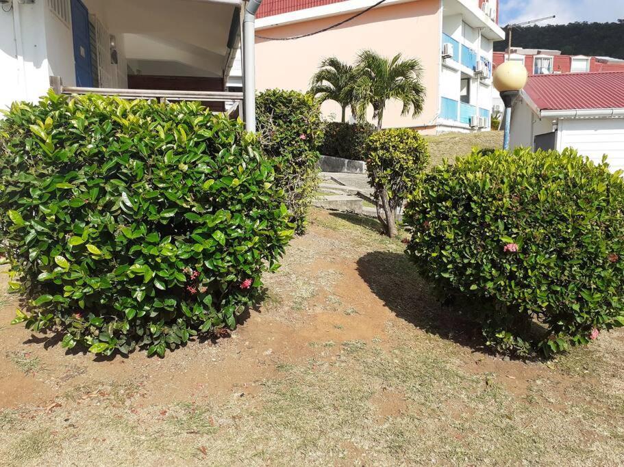 Superbe Studio, A 20 Metres De La Plage, Acces Direct Grande Plage Diamant Le Diamant Exterior photo
